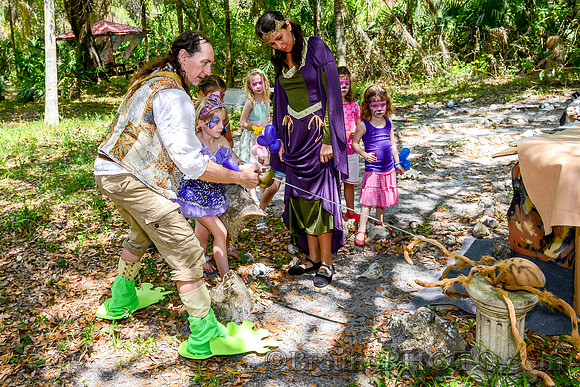 BHD_8291