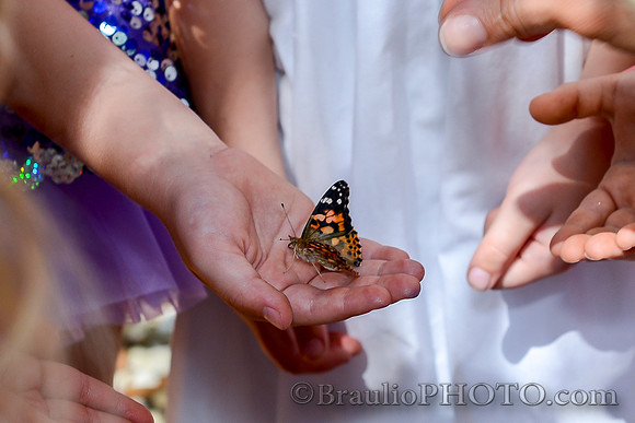 BHD_8627_1