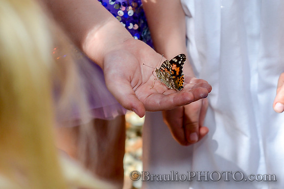 BHD_8629_1