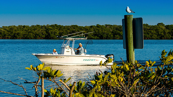 Tarpon Point Marina, Silver King Boulevard, Cape Coral, FL