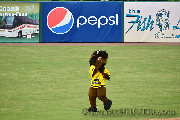 Hammond Stadium Fort Myers Florida