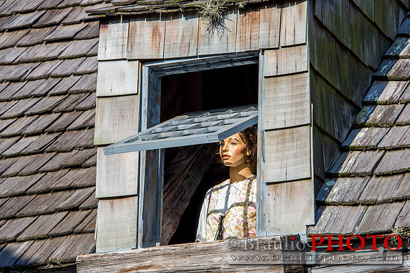 The Oldest Wood School House in the USA St. Augustine Florida