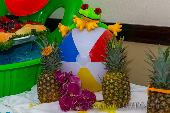 3-4-16 APMSS Tropical's Party 5862