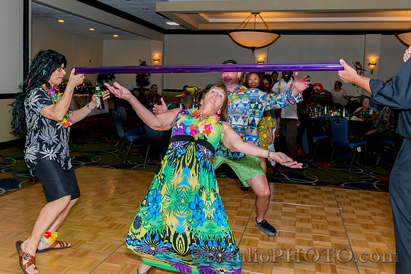 3-4-16 APMSS Tropical's Party 6093