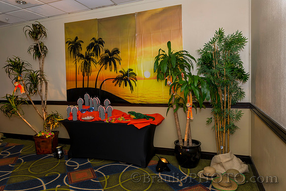 3-4-16 APMSS Tropical's Party 5852