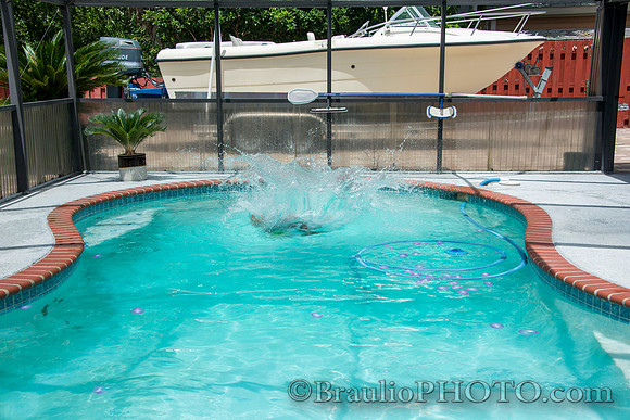 BHD_1818