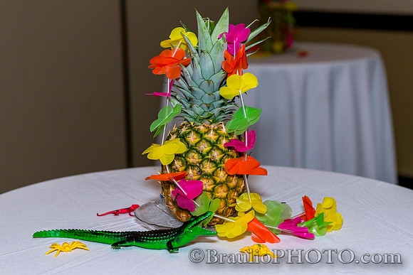 3-4-16 APMSS Tropical's Party 5832