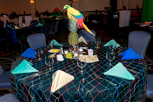 3-4-16 APMSS Tropical's Party 5823
