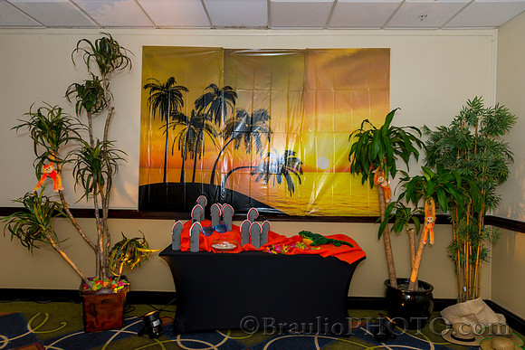 3-4-16 APMSS Tropical's Party 5851