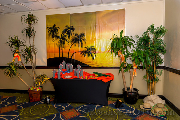 3-4-16 APMSS Tropical's Party 5856