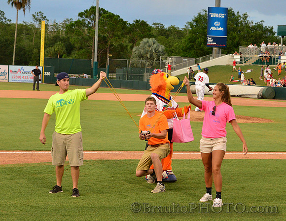 Hammond Stadium Fort Myers Florida