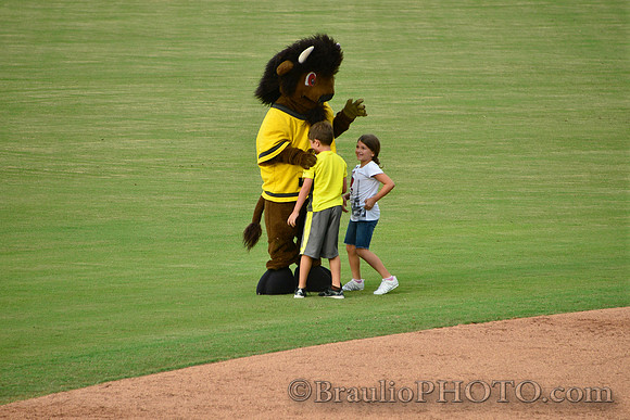 Hammond Stadium Fort Myers Florida