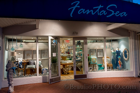 Fantasea-sarasota-fl (2664)