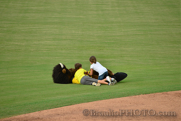 Hammond Stadium Fort Myers Florida