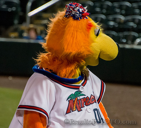 Hammond Stadium Fort Myers Florida