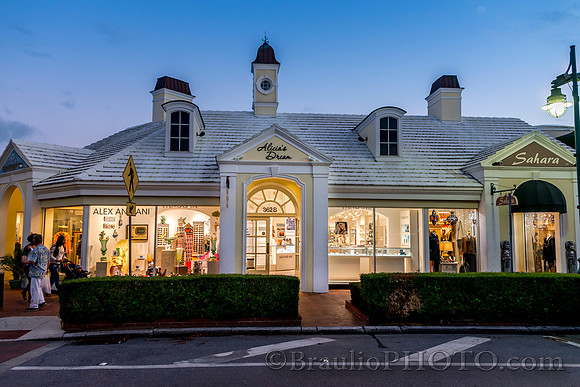 Alicia's-dream-sarasota-fl (2654)