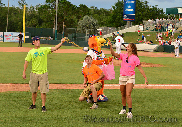 Hammond Stadium Fort Myers Florida