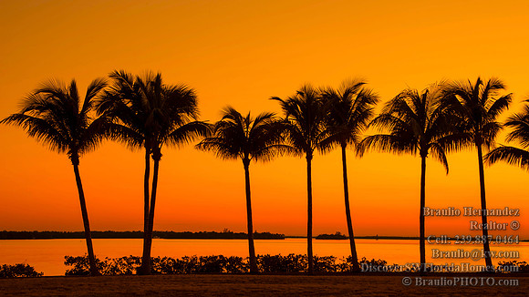 Tarpon Point Marina, Silver King Boulevard, Cape Coral, FL