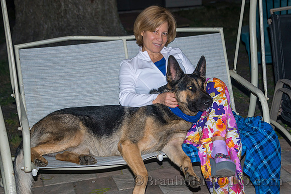 BHD_7392_1