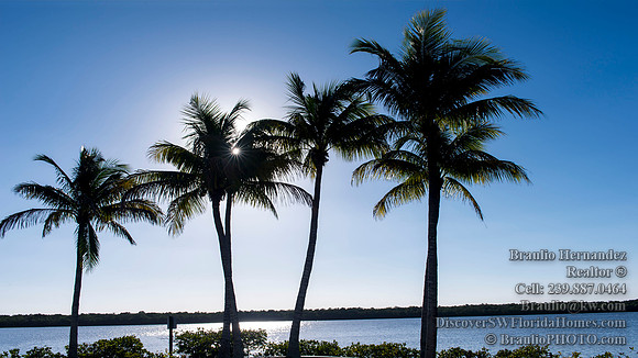 Tarpon Point Marina, Silver King Boulevard, Cape Coral, FL