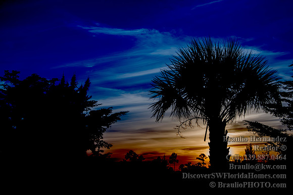 Province Park, Fort Myers, FL