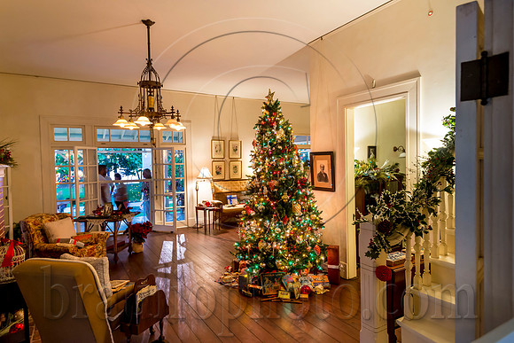 Edison-and-Ford-Holiday-Nights