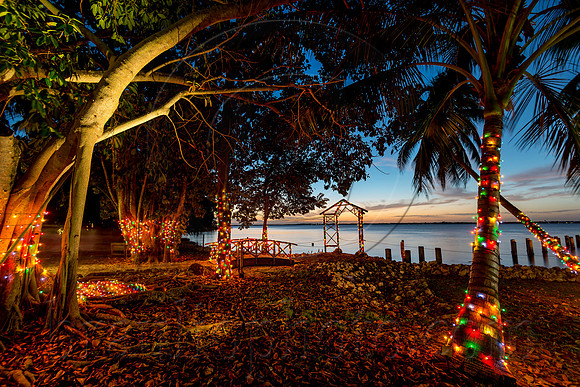 Edison-and-Ford-Holiday-Nights