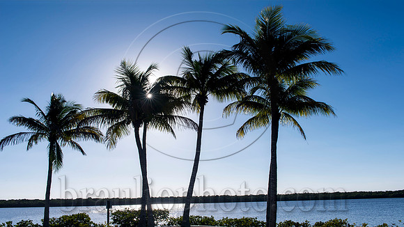 Tarpon Point Marina, Silver King Boulevard, Cape Coral, FL