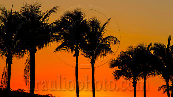 Tarpon Point Marina, Silver King Boulevard, Cape Coral, FL