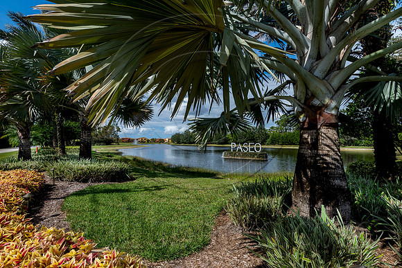 Paseo-Fort-Myers