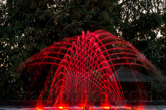 Edison-and-Ford-Holiday-Nights