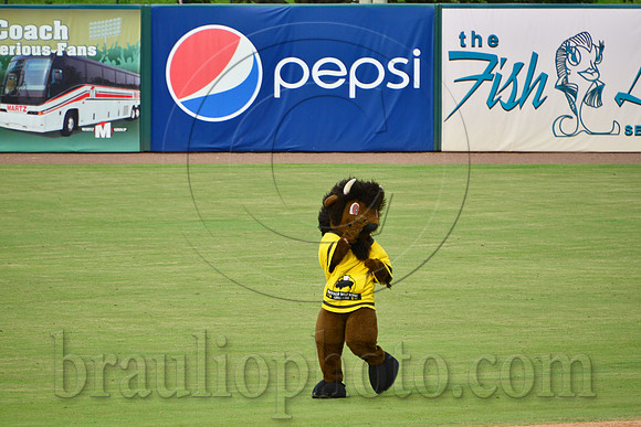 Hammond Stadium Fort Myers Florida