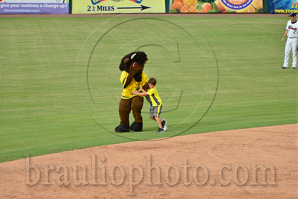 Hammond Stadium Fort Myers Florida