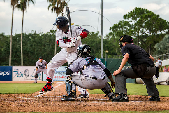 Hammond Stadium Fort Myers Florida