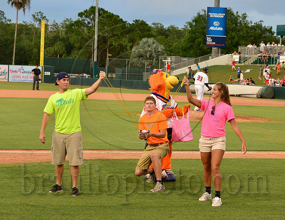 Hammond Stadium Fort Myers Florida