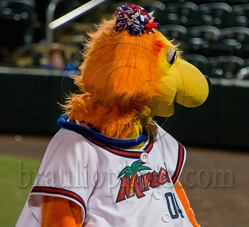 Hammond Stadium Fort Myers Florida