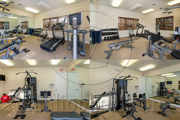 Gym Collage