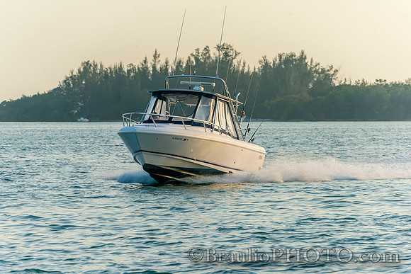 BHD_9394