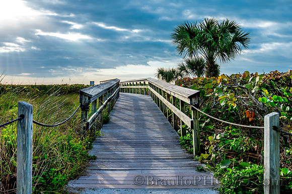 BHD_4849_1