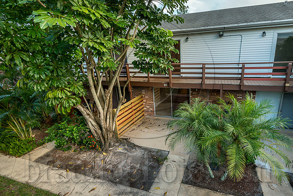 BHD_1564