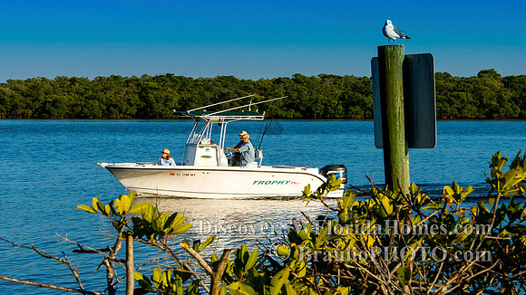BHD_6466_2_Full Screen
