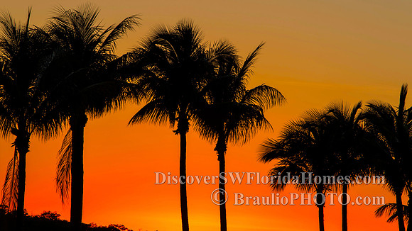 BHD_6535_2