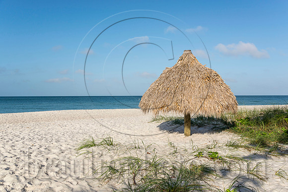 BHD_2738