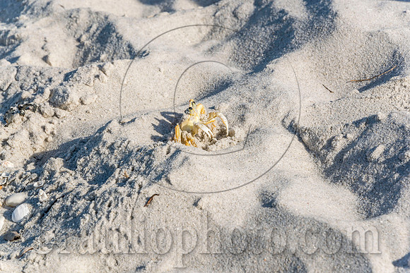 BHD_2938