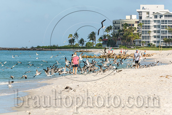 BHD_3019