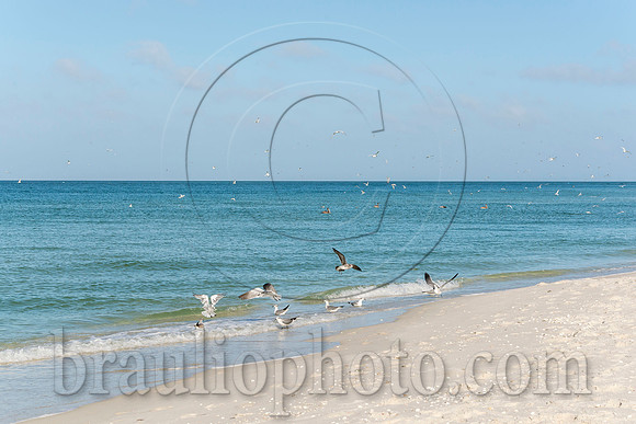 BHD_3042