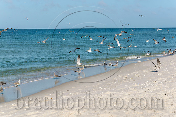 BHD_3092