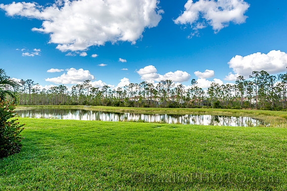 BHD_3893