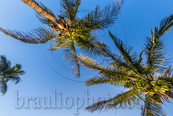 BHD_0795