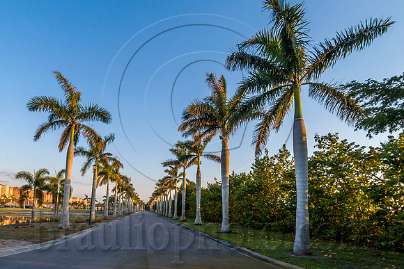 BHD_0812